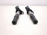 16-17 Victory Octane Ignition Coil Set 4015017