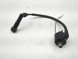 21-25 Kawasaki KLX 300 SM Ignition Coil 21121-0033
