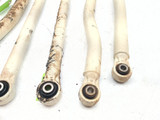 20-26 Kawasaki KRX KRF Teryx 1000 Rear Radius Rod Set