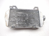 15-17 Suzuki RMZ 450 RM-Z450 GPI RACING Engine Motor Radiator