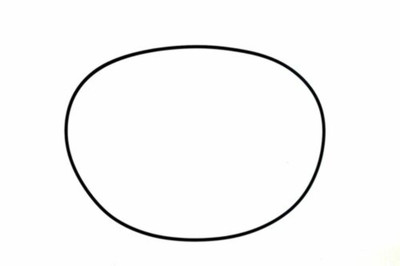 Sea-Doo OEM Rubber Ring Seal 290850040