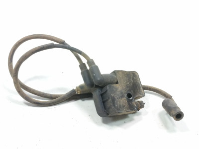 12 Can Am Commander 800R XT Ignition Coil Plug Pack 0221503035