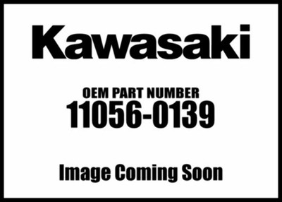 KAWASAKI 2011-2020 Ninja KLR650 License Plate Bracket 11056-0139 OEM