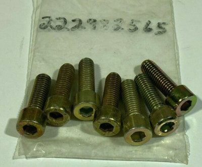 QTY 7 | SKI-DOO NEW OEM BRP Socket Screw 222982565