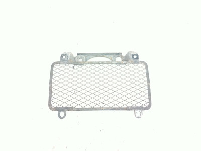 02 Kawasaki Ninja ZZR1200 Oil Cooler Cover Screen Grill