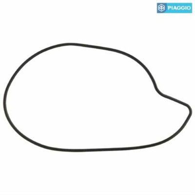 2001-2013 Piaggio Aprilia Gilera 400-500cc Water Pump O-Ring Gasket 827884 QTY2