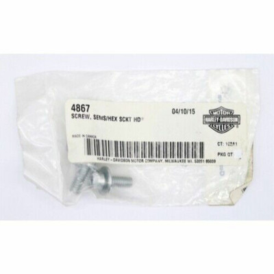 1977-1978 Harley-Davidson Hex Socket Head Screw P/N 4867