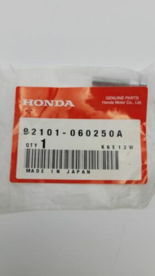 Honda NEW Genuine ATC 70 90 110 FL250 6x25 10mm Head Hex Bolt OEM 92101-060250A