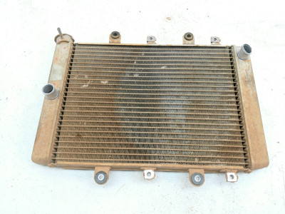 17 Yamaha Kodiak YFM 700 4WD Radiator