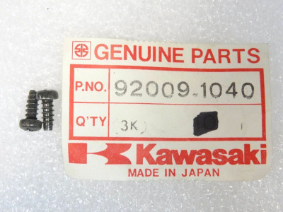 Kawasaki Tapping Screw 4x10 KD KL KZ ZG ZR KD80 KL650 Qty 2 92009-1040