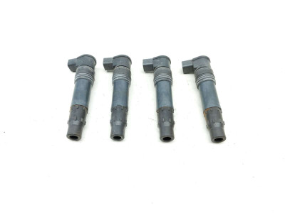 12 Kawasaki Ninja 1000 ZX1000 H Ignition Coil Plug Pack
