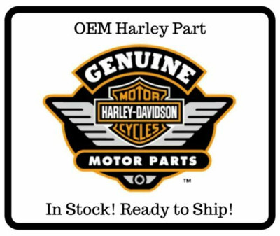 Harley Davidson Genuine Harley-Davidson Screw PN 2513 (Pack of 2)
