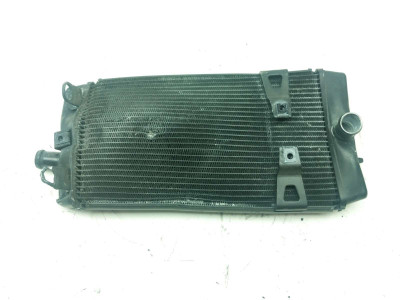 17 Triumph Bonneville T100 Radiator