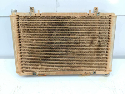 14 Can Am Maverick 1000R X RS DPS Radiator