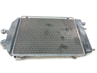 09 Kawasaki Vulcan 1700 Classic Anniversary Radiator w/ Grill Cover Guard