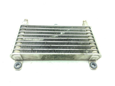 09 Moto Guzzi Stelvio 1200 Oil Cooler
