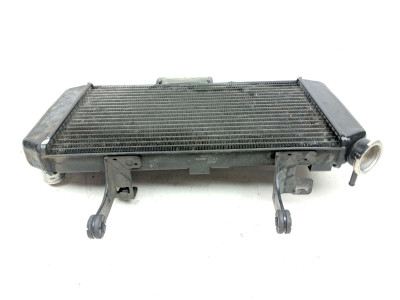 07 Suzuki V Strom DL650 Radiator