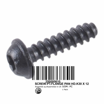 QTY 2 | 2008-2024 Can-Am Spyder Flanged Screw K30x12 250000610 OEM