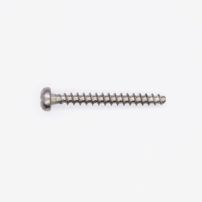 Fillister Head Screw - 2.9X25 - BMW-Motorrad (63137654275) QTY 2