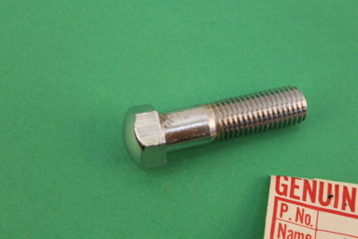 Kawasaki NOS NEW 44041-039 Hex Head Bolt 10mm G4 G5 KV G4TR KV100