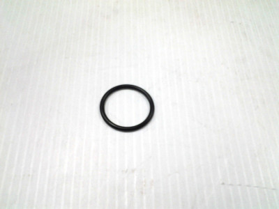 NEW Polaris OEM 5410917 o ring seal gasket xc rmk classic edge cylinder NEW Polaris OEM 5410917 o ring seal gasket xc rmk classic edge cylinder