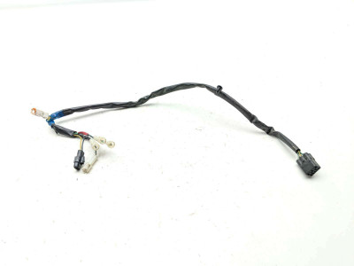 18 Triumph Street Cup Tail Sub Wire Wiring Harness