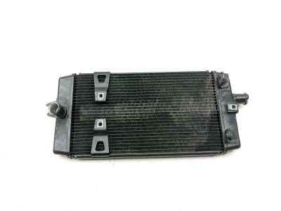 18 Triumph Street Cup Radiator