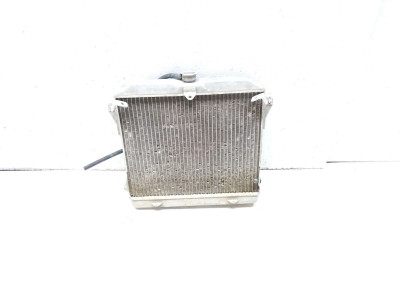 21 Honda Pioneer 700-4 SXS700 Radiator