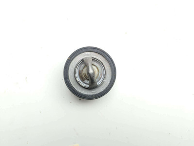 17 Polaris Sportsman 450 HO Engine Motor Coolant Thermostat