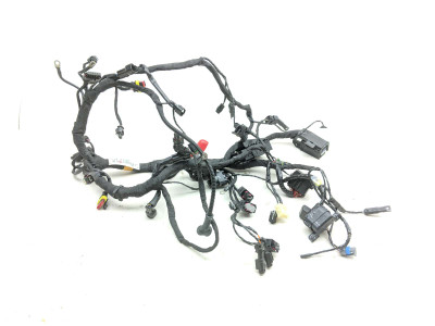 22 BMW G310GS Main Wiring Wire Harness Loom