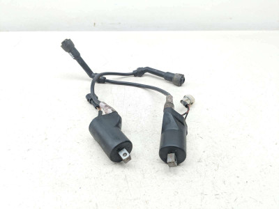 19 Royal Enfield INT 650 Ignition Coil Plugs Packs