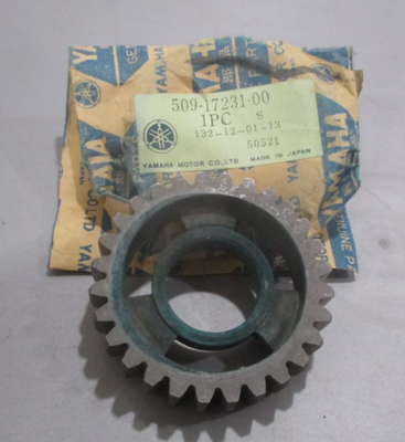 YAMAHA NEW OEM 3RD WHEEL GEAR 509-17231-00