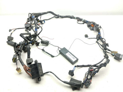 04-09 Triumph Rocket 3 III Main Wiring Wire Harness Loom