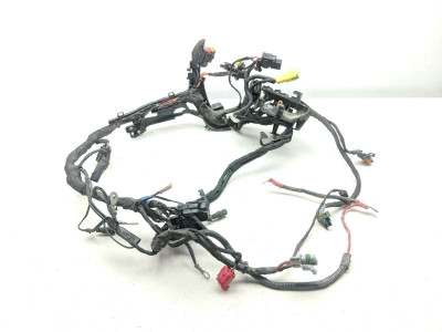 22 -24 Harley Davidson Nightster RH975 S Main Wiring Wire Harness Loom 69203115