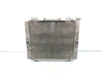 14-19 Kawasaki Teryx 800 KRF KRT Radiator