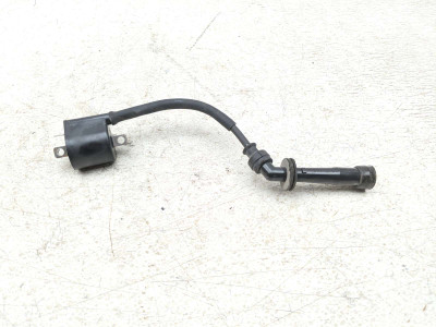 00-24 Suzuki DRZ400SM DRZ 400 Ignition Coil Plugs Packs TRSH PL