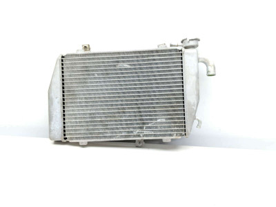 14 15 Honda Valkyire 1800 GL1800C Engine Motor Radiator B