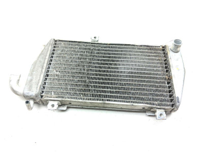 05 Honda Goldwing GL 1800 Trike Radiator