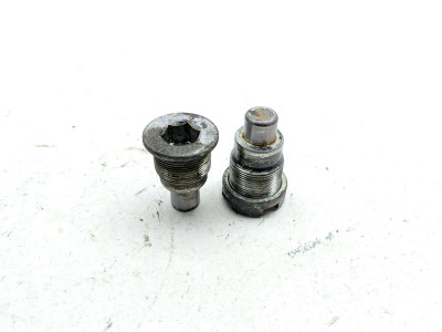 88-00 Honda GL1500 Goldwing 1500 Rear Swing Arm Pivot Bolt TRSH PL