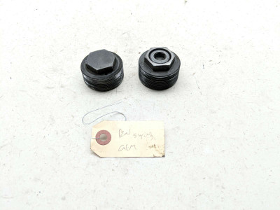 03-05 BMW K1200GT Rear Swing Arm Pivot Bolt Caps