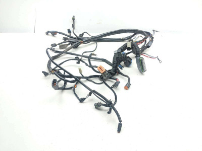 00-06 Harley Heritage Softail FLSTCI Main Wiring Wire Harness Loom