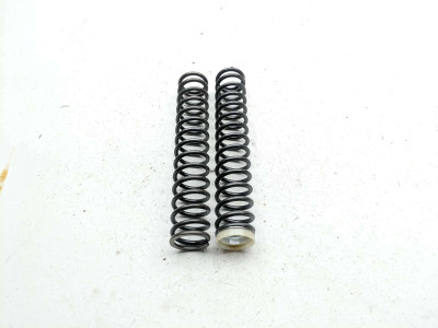 15-19 BMW S1000RR Front Fork Spring Set