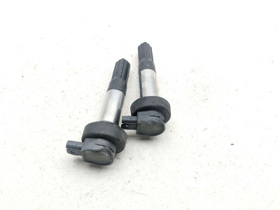 15-19 BMW S1000RR Ignition Coil Plugs Packs