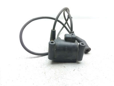 08-13 Harley Davidson FLTRUSE Road Glide Ultra Ignition Coil Plugs Packs 31696-07A