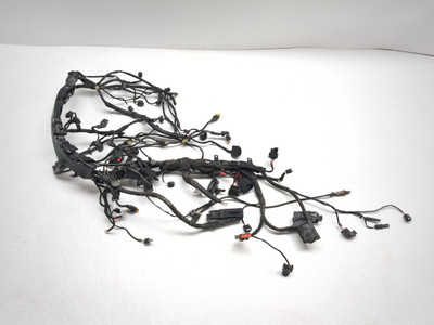 20-25 BMW F900R Main Wiring Wire Harness Loom