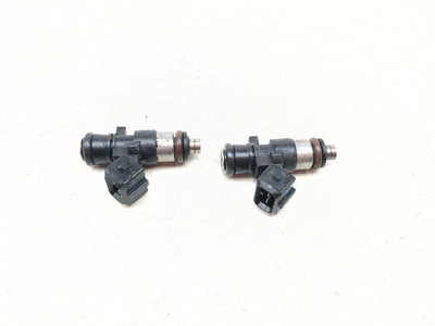 17-25 Benelli TRK 502X Gas Fuel Injectors