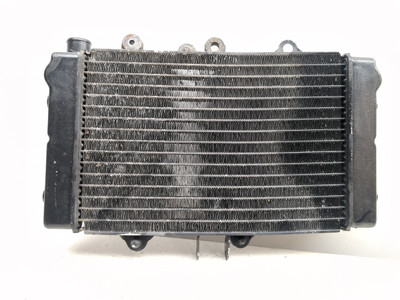88-91 Honda NT650 Hawk GT Engine Motor Radiator B
