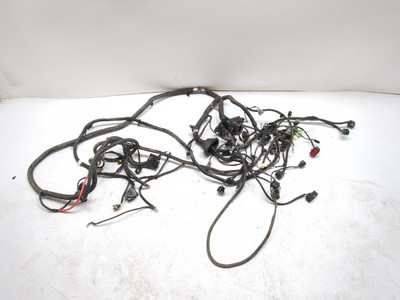 22 Segway Fugleman UT10 X Main Wiring Wire Harness Loom