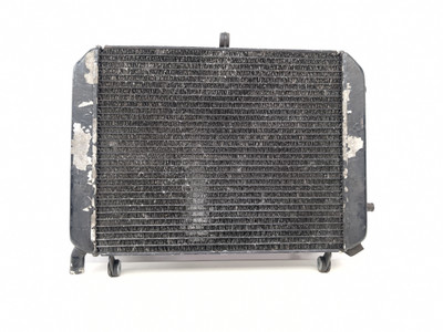 03-05 Yamaha FJR 1300 Engine Motor Radiator