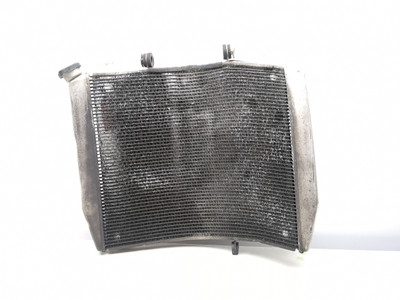 10-22 Kawasaki ZG1400C Concours Engine Motor Radiator